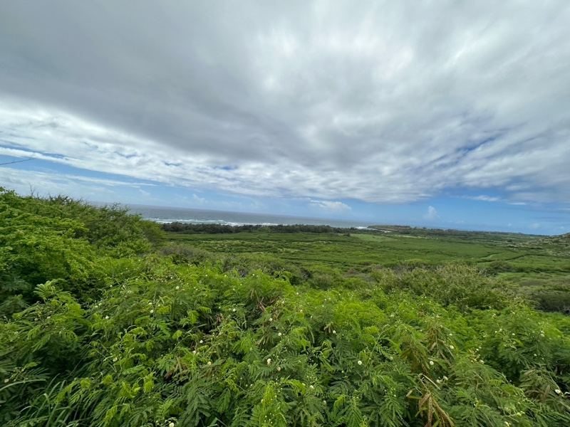 Lush Green Valley Under Cloudy Sky