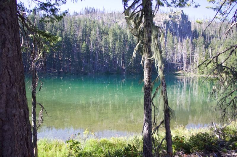 Turquoise Forest Lake View