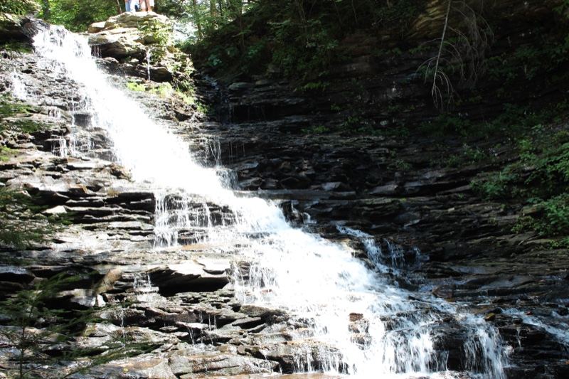 Rocky Waterfall Cascading Through Forest