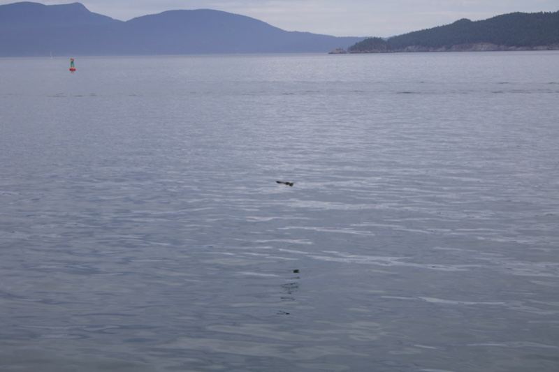 Calm Sea With Distant Mountains