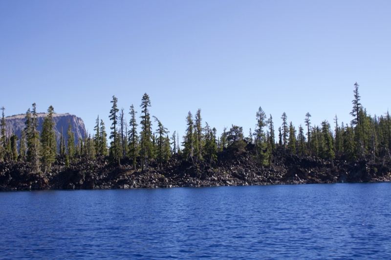 Lake Shore With Forest And Mountain
