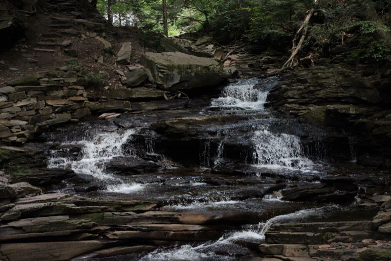Forest Waterfall Cascading Over Rocks