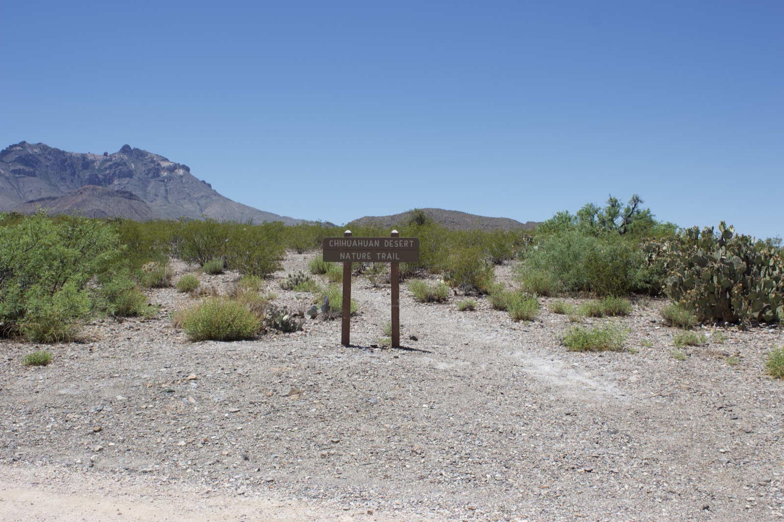 Desert Trail Sign Under Clear Sky