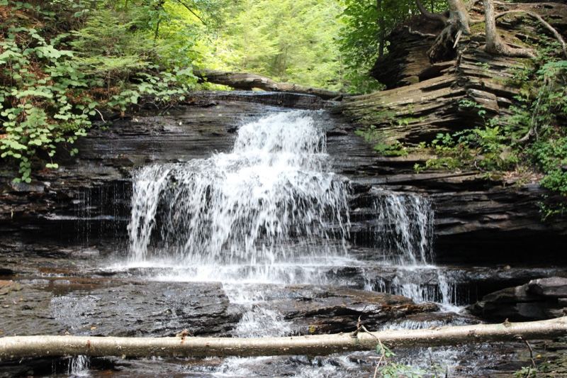Small Forest Waterfall Cascading Over Rocks