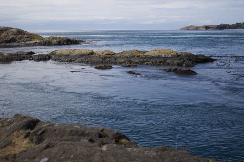 Rocky Coastline Under Overcast Sky