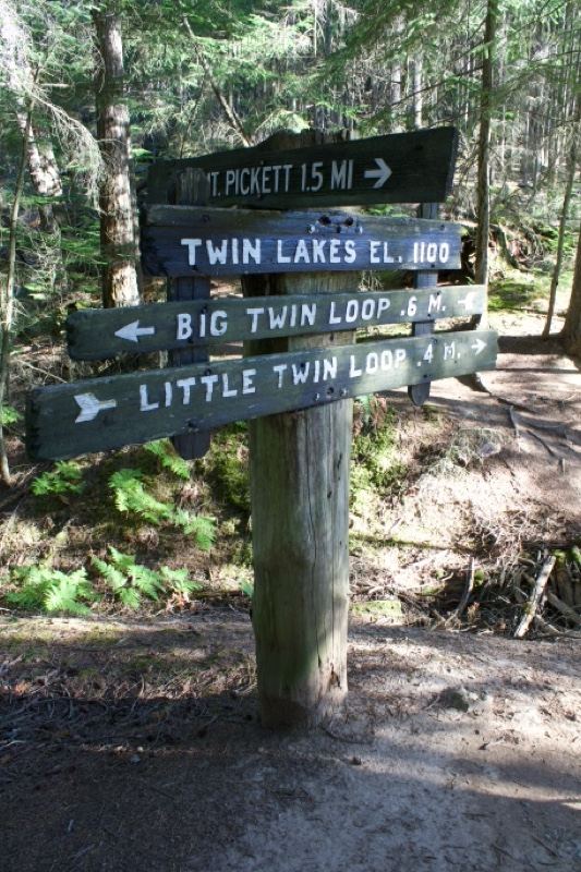Wooden Trail Signpost in Forest