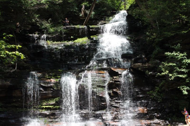 Forest Waterfall Cascading Down Rocks