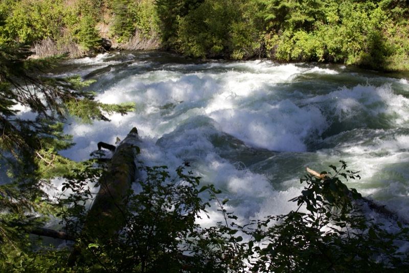 Fast River Rapids Through Forest