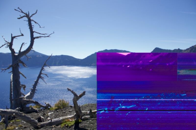 Dead tree over misty alpine lake