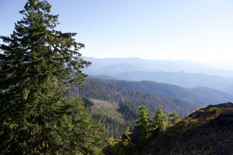 Mountain Forest Vista From Ridge