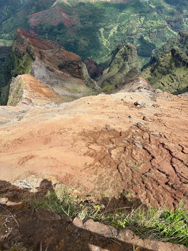Red Cliff Overlooking Lush Valley