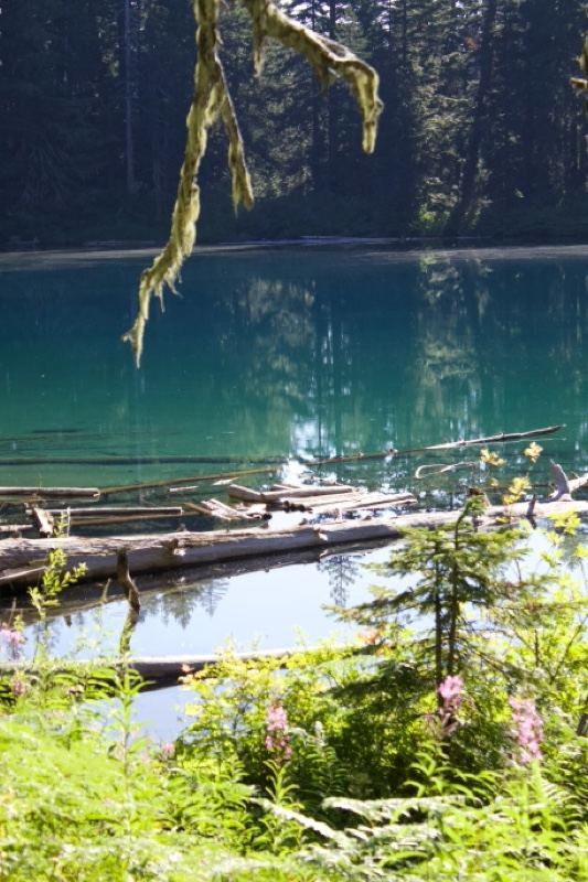 Turquoise Alpine Lake Forest Edge