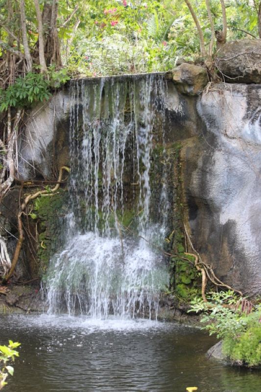 Small Forest Waterfall Cascading Into Pool