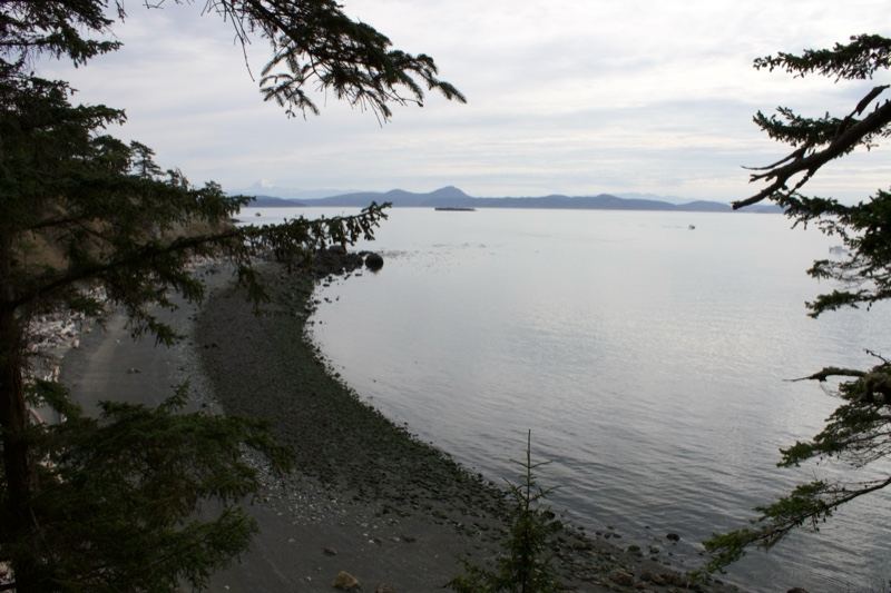 Coastal Pebble Beach Framed by Trees