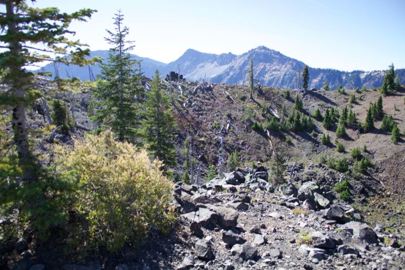 Mountain View Over Burned Slope