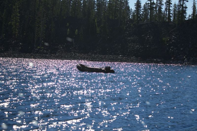Sparkling Lake with Floating Log