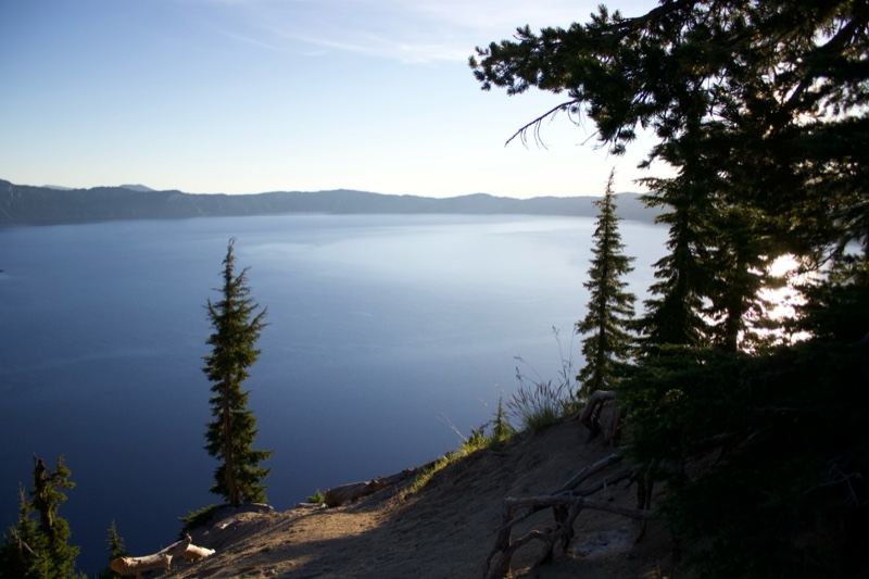 Lake Overlook with Pine Trees