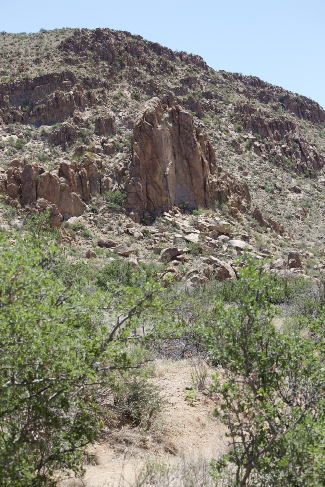 Arid Rocky Hill with Desert Vegetation