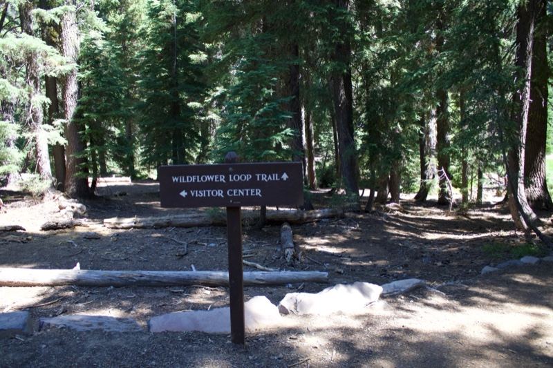 Wildflower Loop Trail Sign in Forest