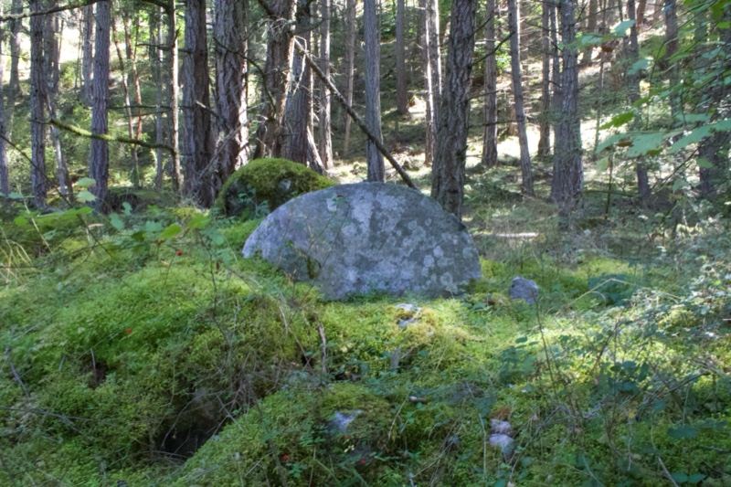 Mossy Boulder in Forest Clearing