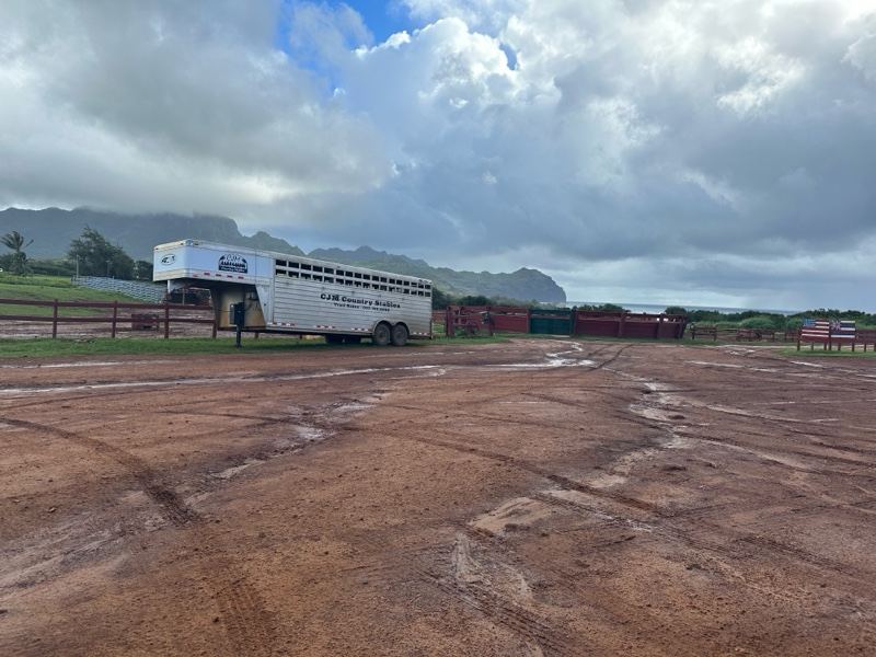 Livestock Trailer in Muddy Lot