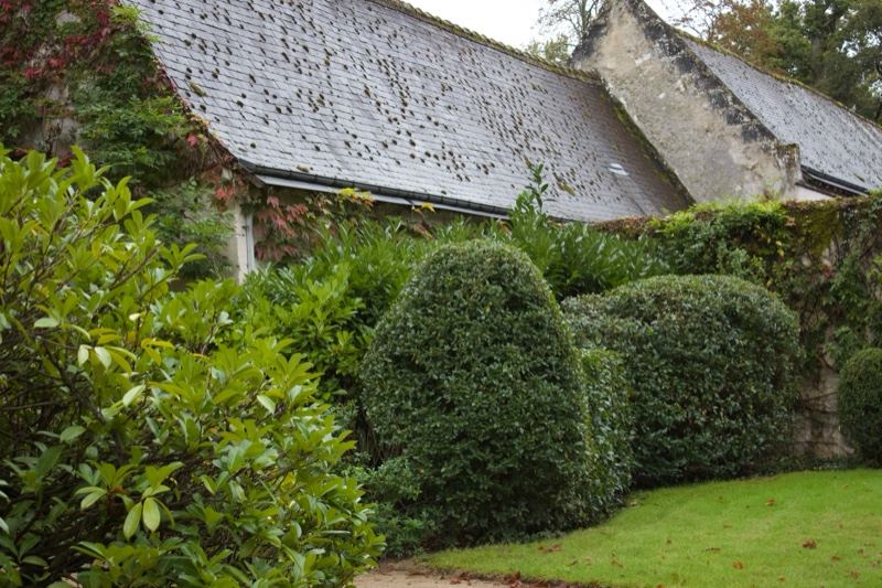 Stone cottage with trimmed hedges