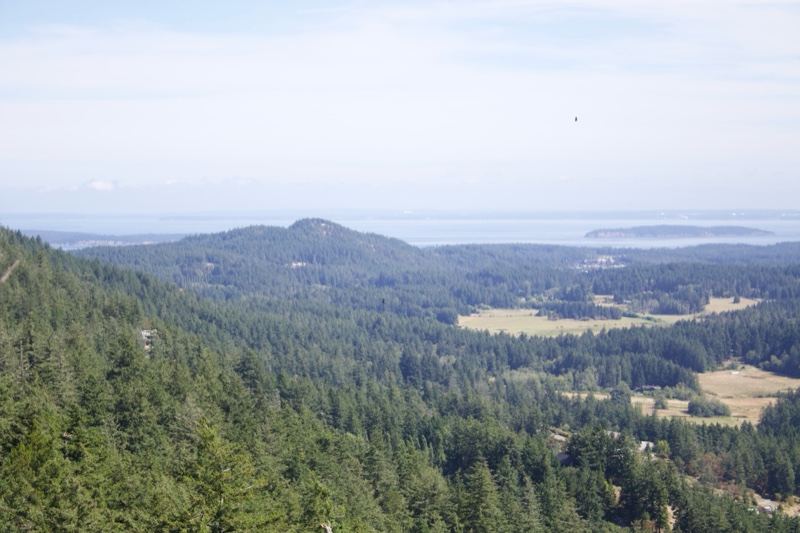 Aerial View of Forested Hills and Islands
