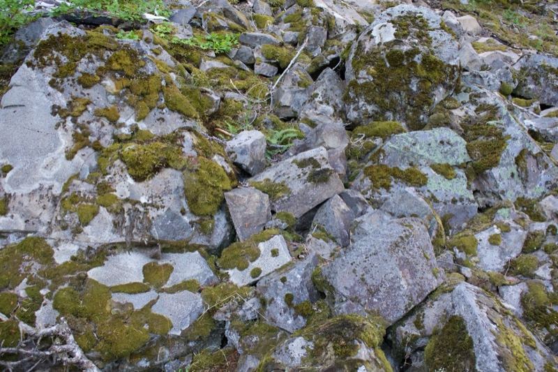 Moss Covered Rocky Outcrop Close Up