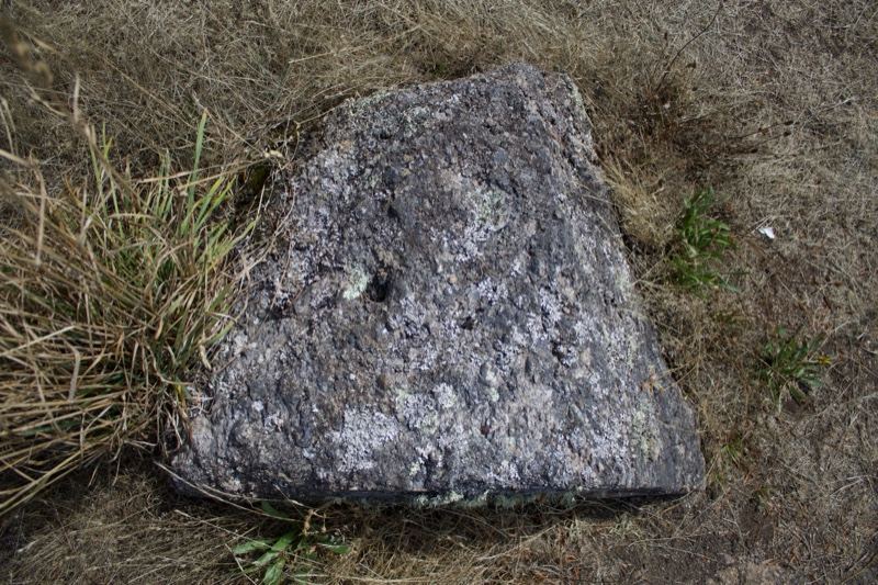 Weathered Rock on Dry Grass