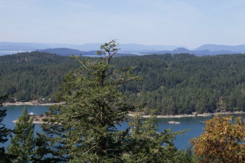 Forested Islands Overlooking Bay