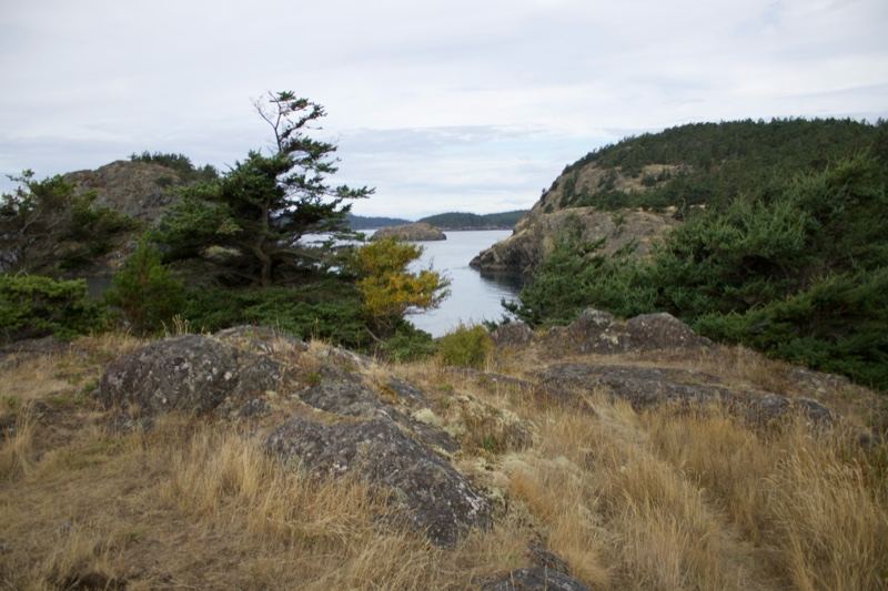 Coastal Overlook With Rocky Grassland