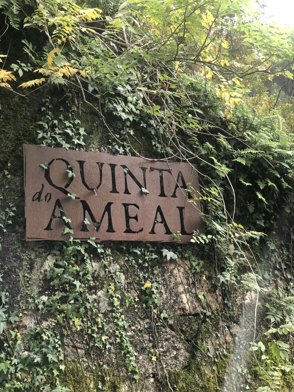 Quinta do Ameal Sign on Ivy Covered Wall