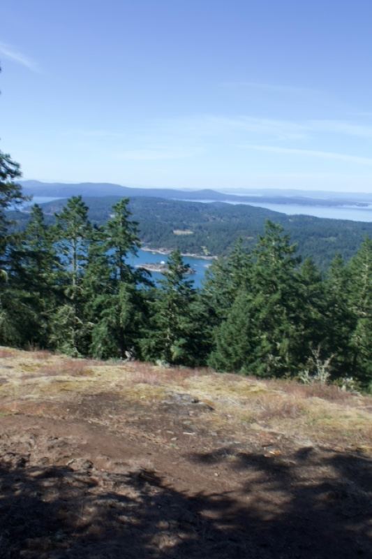 Mountain Overlook Over Islands and Forest