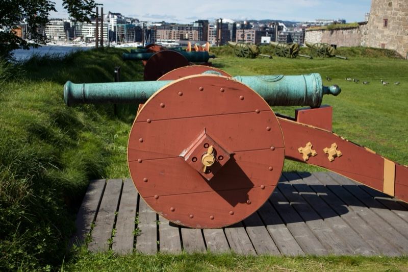 Historic Cannon on Grassy Fort Embankment