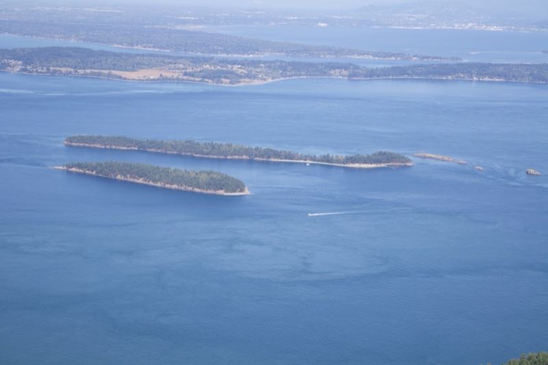 Two Forested Islands in Blue Sea
