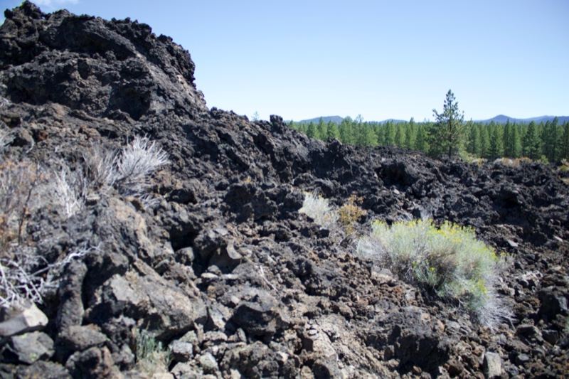 Rugged Lava Field With Distant Trees
