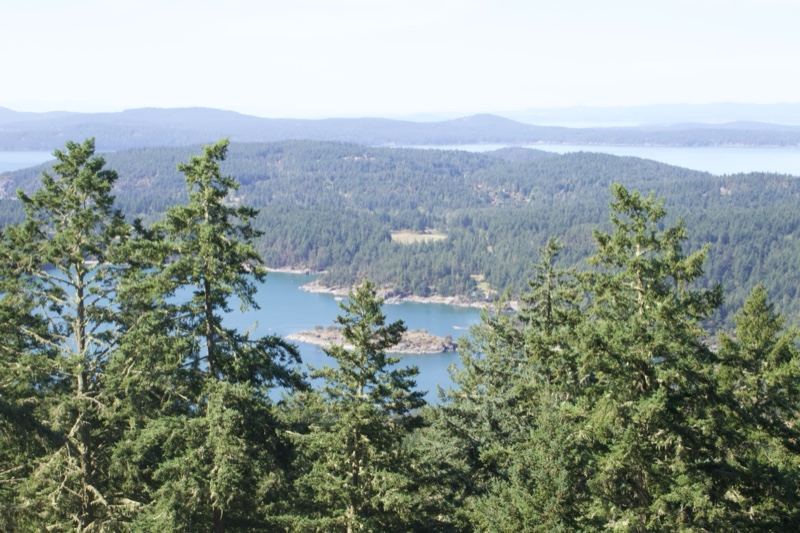Coastal Forest Overlook Islands