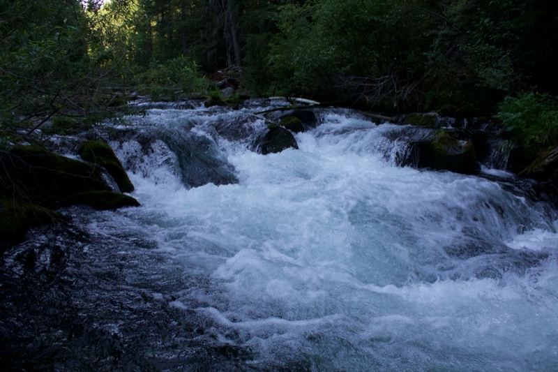 Forest River Rapids Whitewater Flow