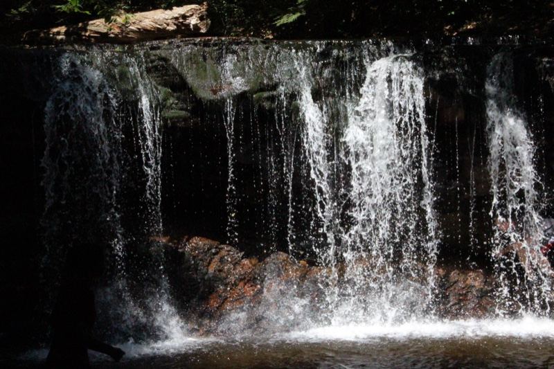 Forest Waterfall Cascading Over Rocks