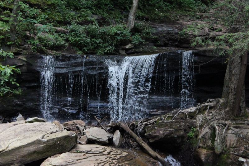 Forest Waterfall Cascading Over Rocks