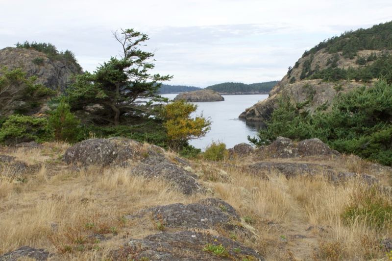Coastal Inlet Overlook With Dry Grass