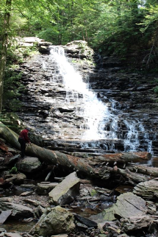 Forest Waterfall With Hiker