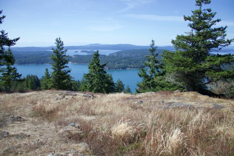 Overlook of Lake and Forest