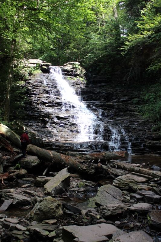 Forest Waterfall Cascading Over Rocks