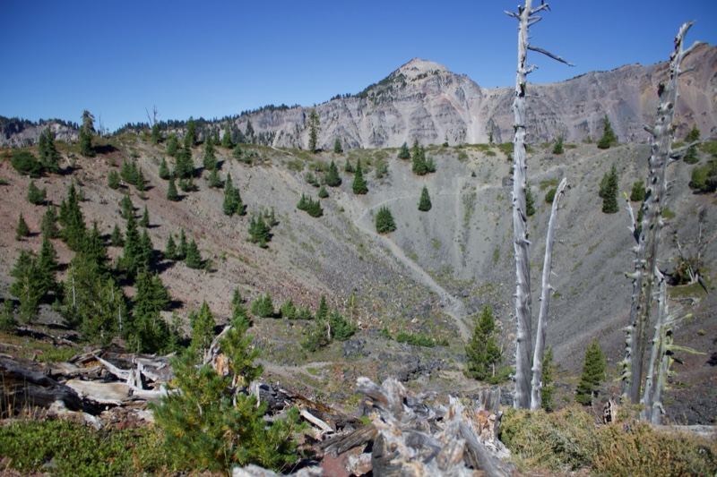 Mountain Crater with Dead Trees