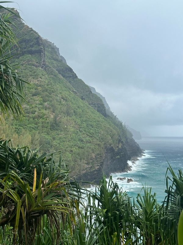 Misty Coastal Cliff Over Ocean