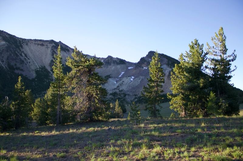 Mountain Meadow With Pine Trees
