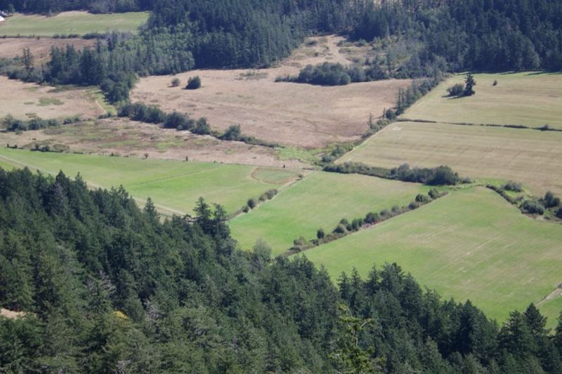 Aerial View Of Forested Hills And Fields
