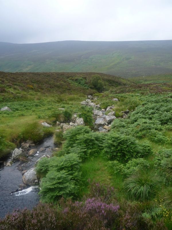 Moorland Stream In Upland Valley