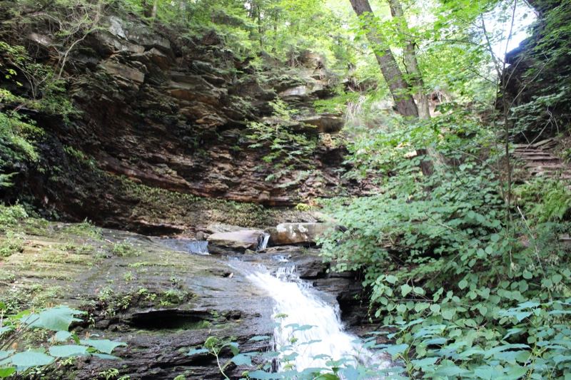 Forest Waterfall Cascading Over Rocks